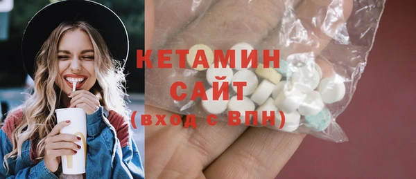 прущие грибы Новозыбков