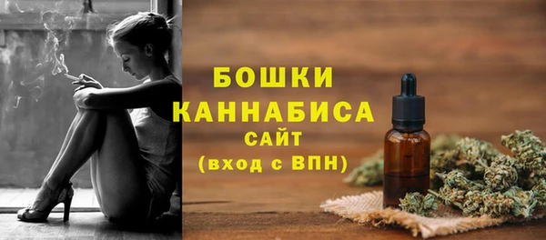 сатива Арсеньев