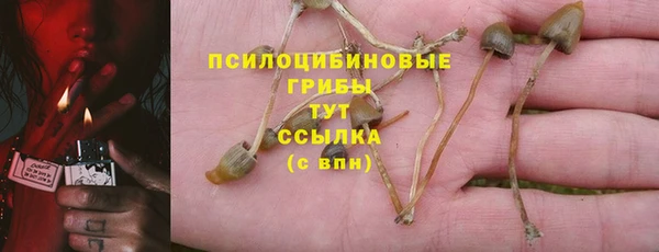 сатива Арсеньев