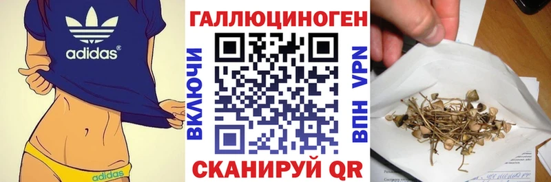 Галлюциногенные грибы ЛСД  Серафимович 